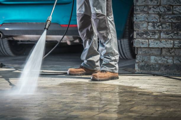 Best Roof Cleaning and Mildew Removal in Thomaston, GA