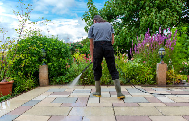 Best Driveway Cleaning and Restoration in Thomaston, GA