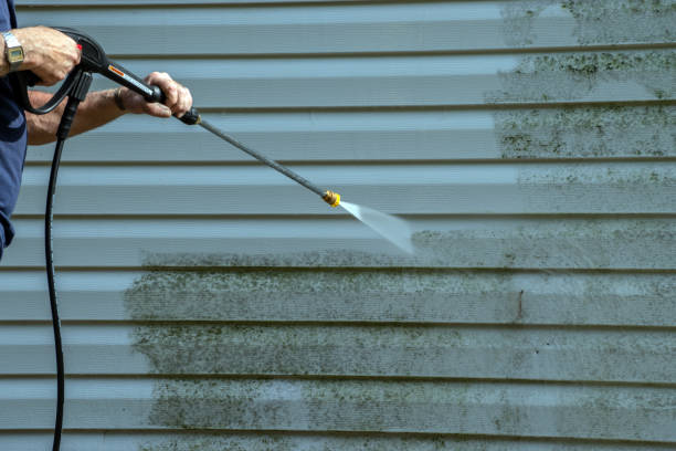Best Vinyl Siding Pressure Washing in Thomaston, GA
